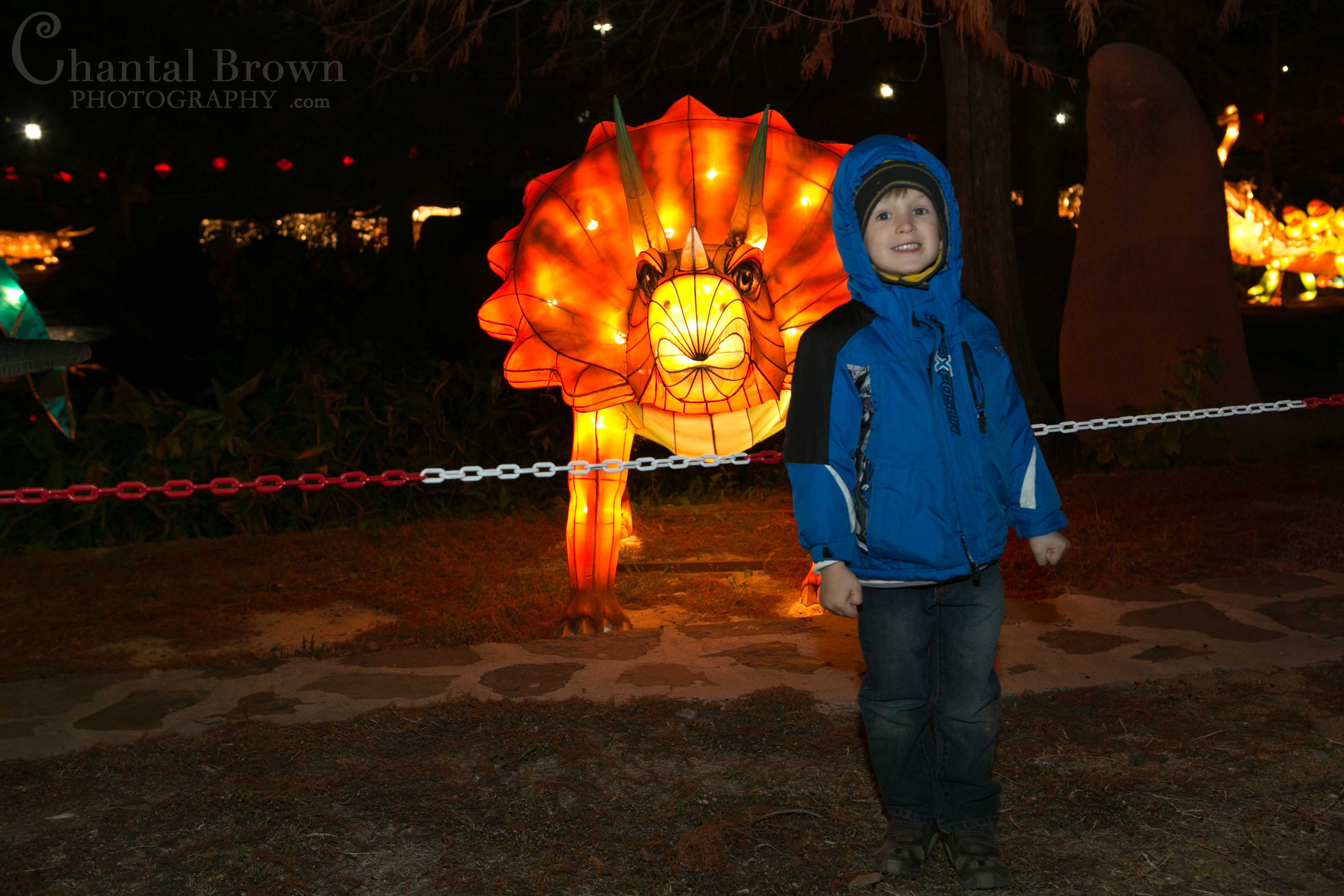 Dinosaur Colorful lights at Chinese Lantern Festival in Dallas Fair Park Photographer